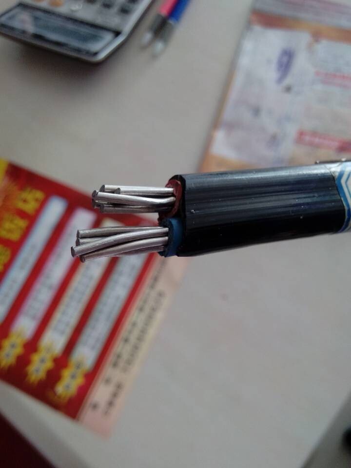 山东电缆** 铝绞线 钢芯铝绞线 工程电线
