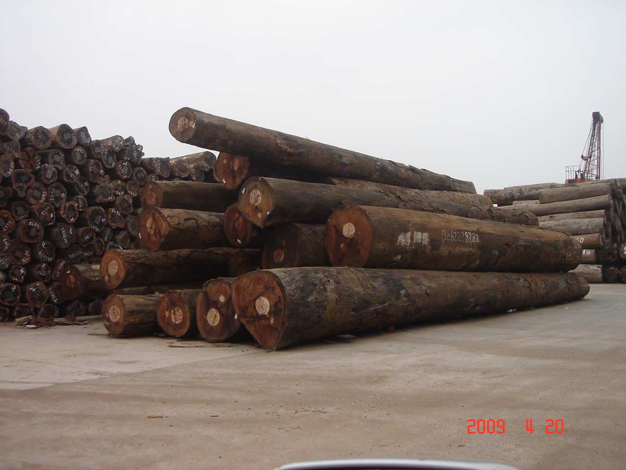 越南红花梨木木材中国香港一般贸易进口报关公司