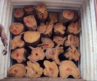 松木较适合做家具的木材松木木材佛山一般贸易进口报关公司