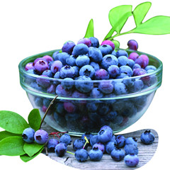 蓝莓--21世纪健康水果蔬菜**