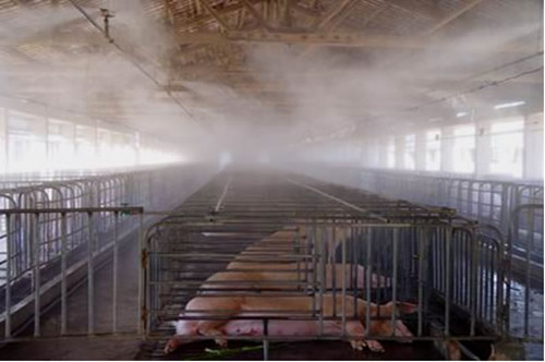 供应养殖场喷雾降温消毒设备