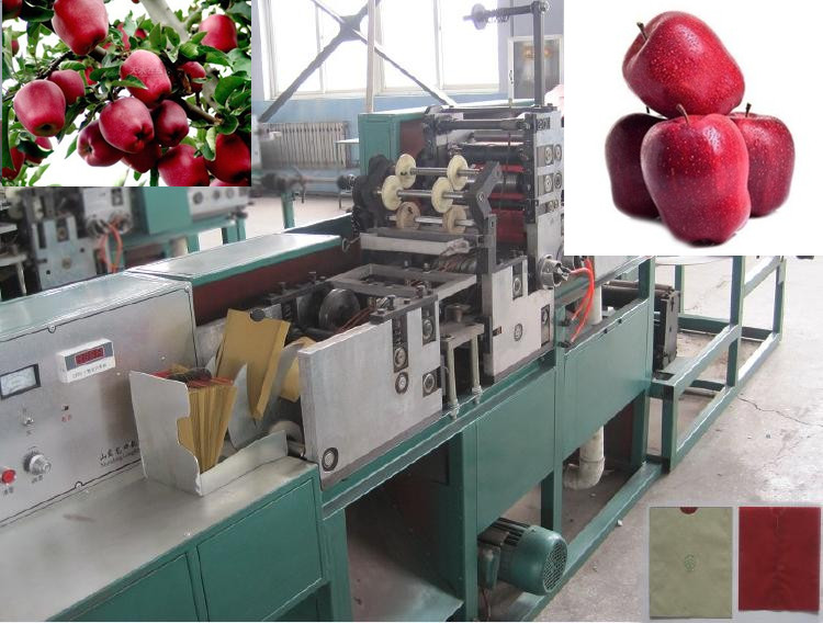 猕猴桃重量选果机分拣猕猴桃大小等级的机器，红阳猕猴桃分选