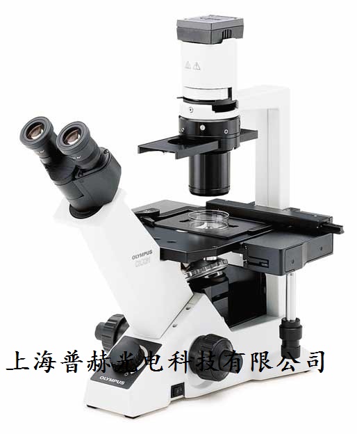奥林巴斯倒置显微镜CKX31