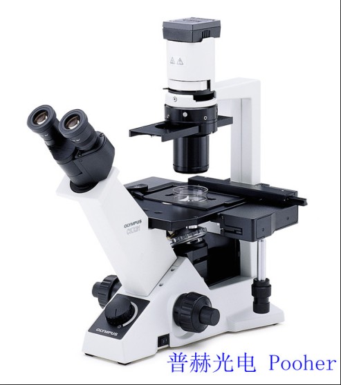 奥林巴斯倒置显微镜CKX41
