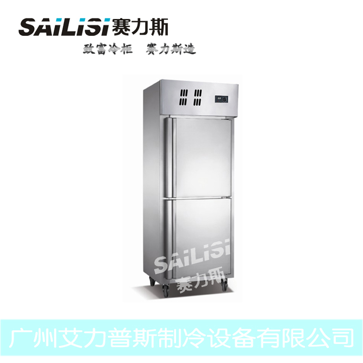 赛力斯一门厨房冷柜 商用冷藏保鲜柜 冰柜 广州厂 价