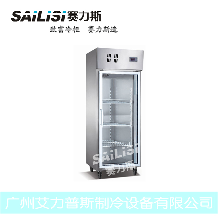 赛力斯 厨房冷柜 冷藏柜保鲜冰柜 商用 广州直销