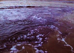 黑龍江中水消毒|中水回用消毒紫外線消毒器