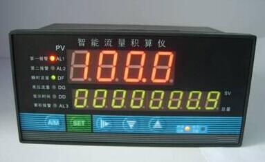 TDS8000-2Q6HY流量积算仪