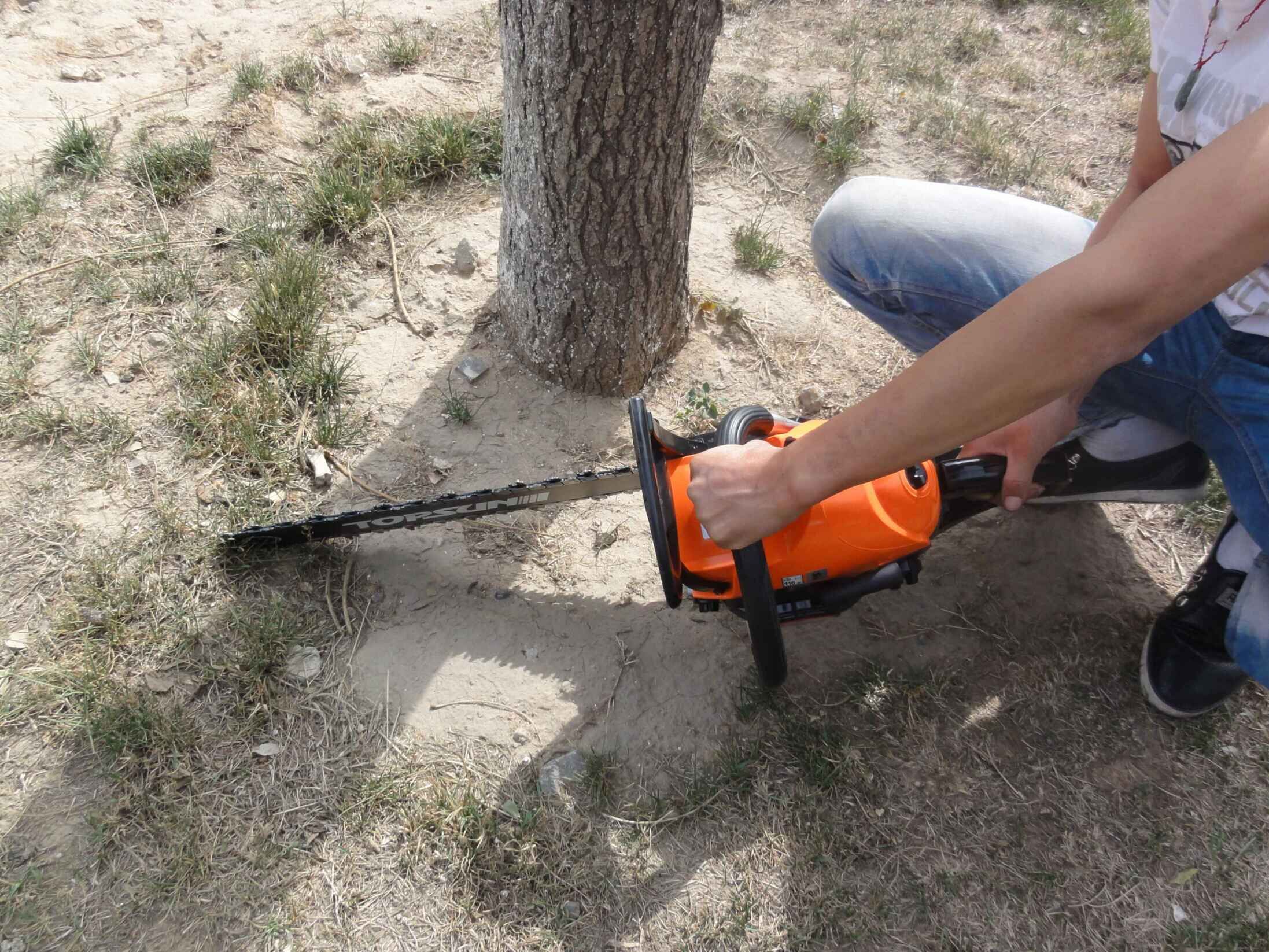 全新型树木移植机/铲式挖树机/轻便式移苗机
