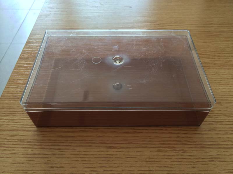 聊城买合格的食品塑料盒 个性食品塑料盒