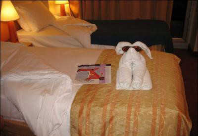 酒店毛巾花样叠法视频,深圳宾馆酒店毛巾,有创意的酒店毛巾折法
