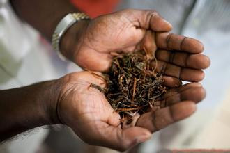 进口锡兰高地红茶时国外需要提供什么资料