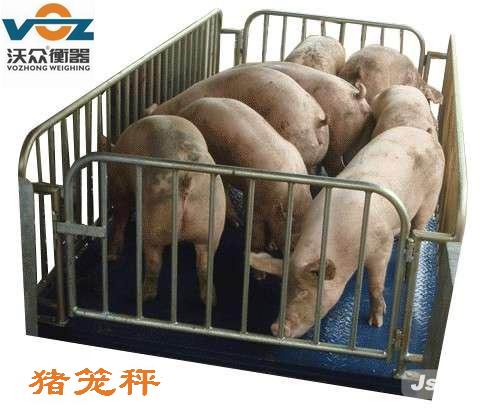 郑州3吨1.2m×1.2m 牲畜秤价格