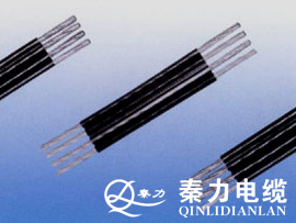 西安电线电缆|西安电线电缆厂家|西安平行集束导线厂家