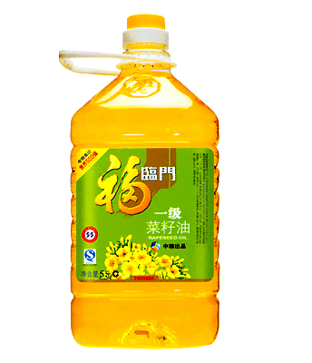 ڴ͵ػЩ,Ƕ