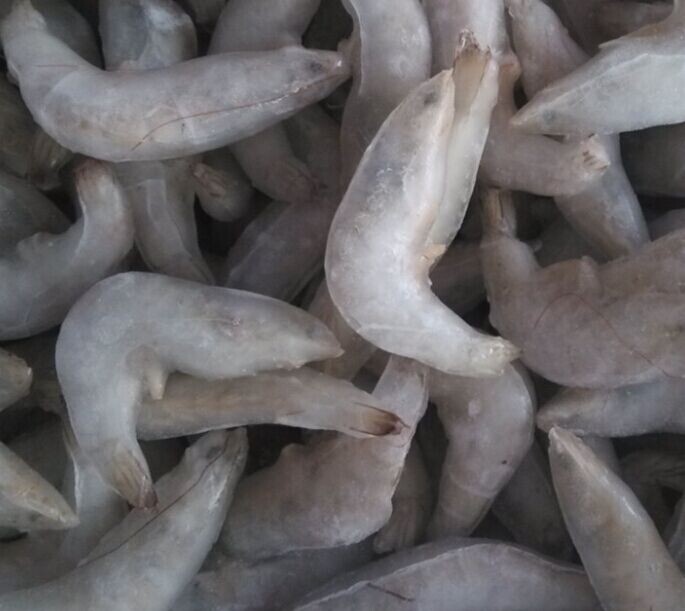 厂家批发冷冻水副产品 对虾 九节虾 松鱼 鲈鱼 较新优惠价