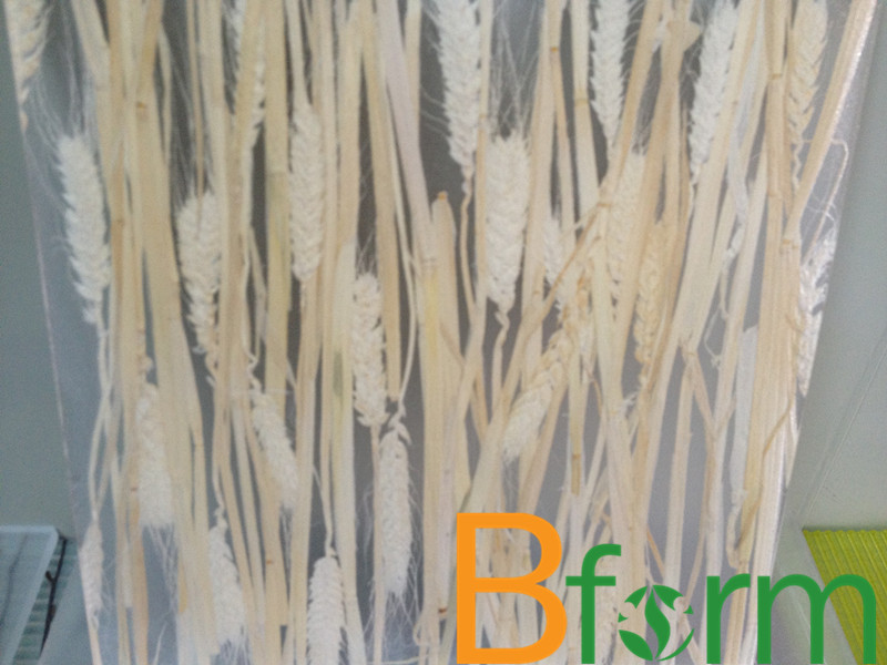上海艺岛实业 专业产销生态树脂板，夹层树脂板，环保装饰板材