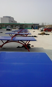 销售：钢板乒乓球台