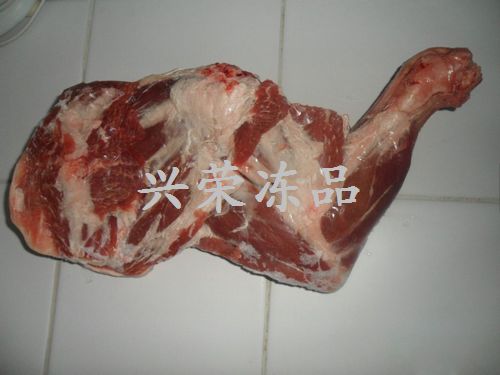 上海直供2309厂羔羊带骨后腿，西班牙10.08033厂羊肚