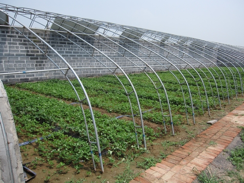 郑州专业建造日光温室建造基地