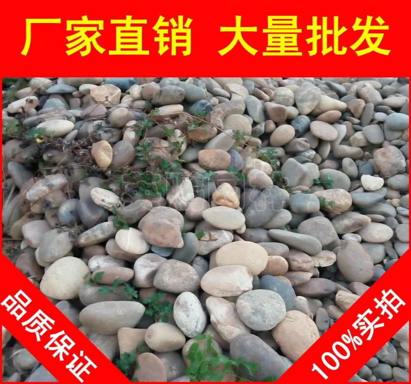 **鹅卵石，惠州**美观鹅卵石，大量现货批发