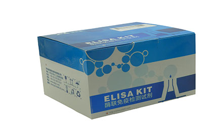 人双睾酮 DHT elisa试剂盒 定量检测