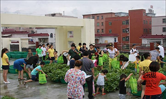 绿家绿全国科普教育基地建设方案