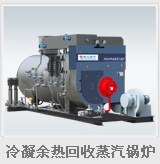 智能型变频式蒸汽锅炉 变频式蒸汽锅炉价格 扬州夏能暖通设备