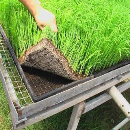 糙面1.5mmHDPE土工膜厂家供应抗冲护坡绿化毯、植草毯价格合理