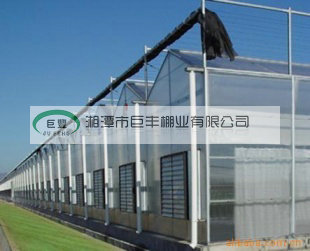 贵州文洛式玻璃温室