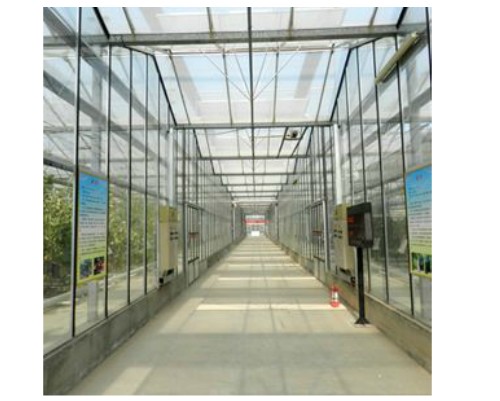 安徽玻璃温室大棚：高性价玻璃温室大棚推荐