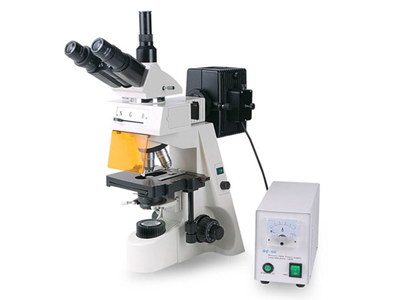 上海 荧光显微镜 XYL-460T