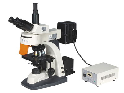 上海 荧光显微镜 XYL-580AT