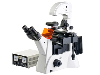 上海 倒置荧光显微镜 XDY-200