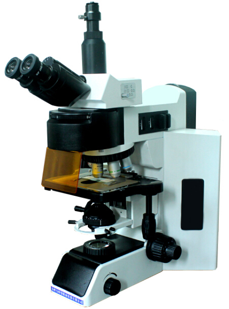 五波段 LED 荧光显微镜FM-YG 100