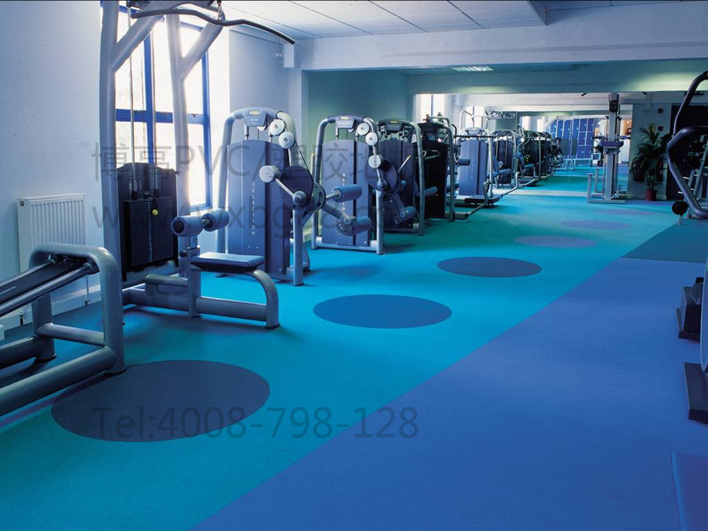 博高多功能健身房运动地板，健身房**PVC地胶厂家