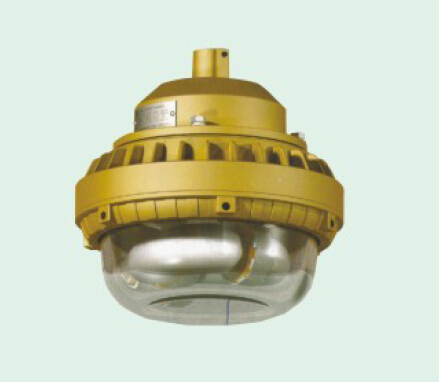 SBD1110-YQL50免维护节能防爆灯配套吸顶式安装方式吗