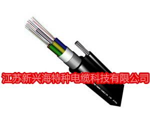 江苏新兴海30年质量保证8字型层绞式室外光缆