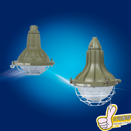 供应FAD-L防水防尘防腐灯 110W防水防尘防腐灯