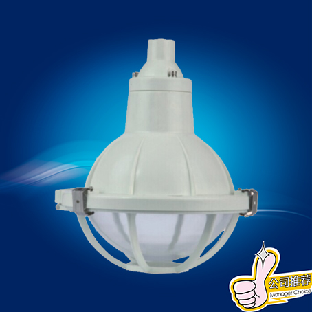 供应FAD-S防水防尘防腐全塑灯 FAD-S防水防尘防腐全塑灯出厂价