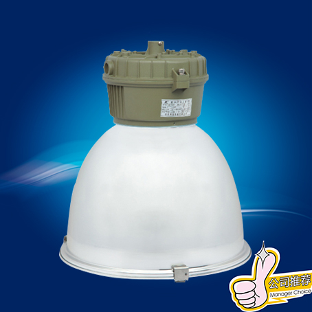 供应FAD-T防水防尘工矿灯 A型 400W防水防尘工矿灯 FAD-T-L70x1A