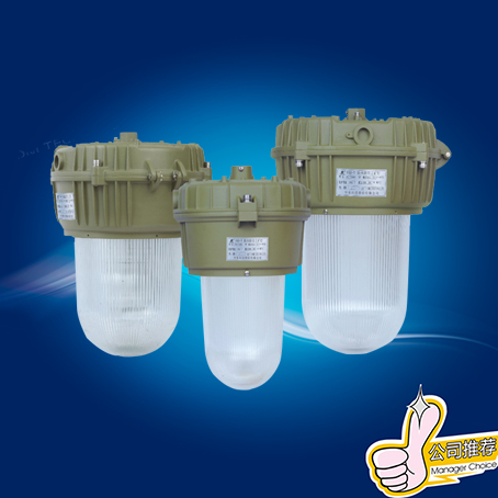 供应FAD-T防水防尘工矿灯 D型 400W工矿灯价格 FAD-T防水防尘工矿灯 D型 出厂价