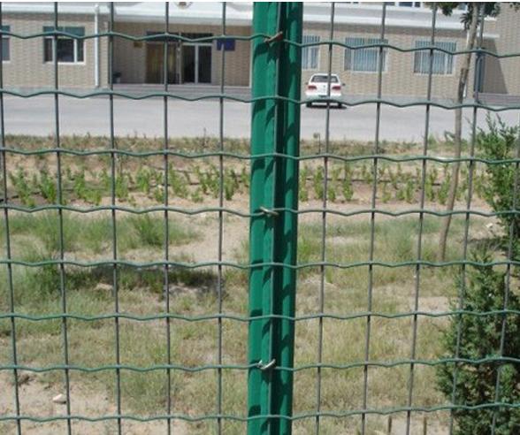 荷兰网厂家 养殖围栏网 散养鸡围网 圈地养殖防护网 现货销售