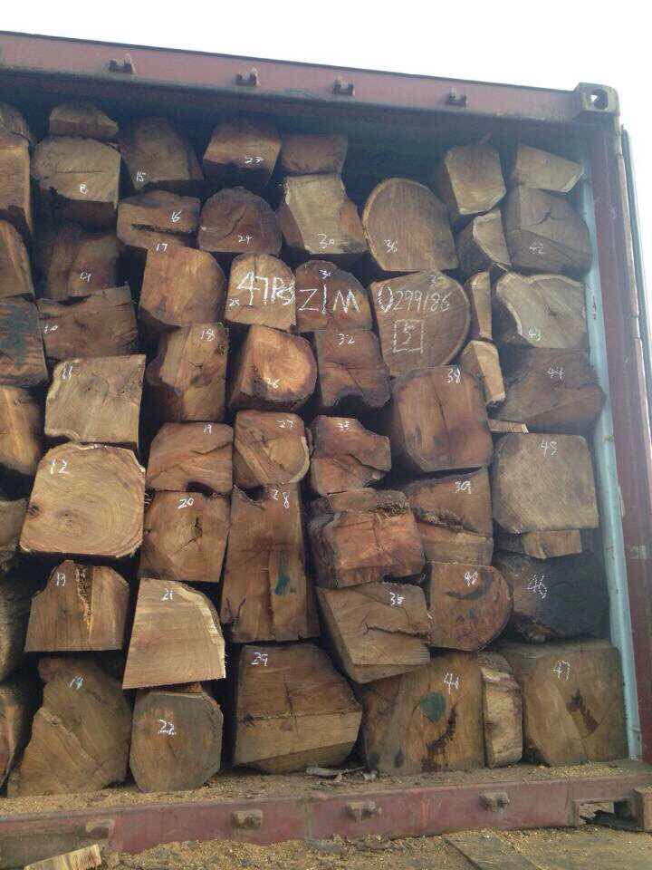 黃埔老港木材進口報關公司 買單木材進口報關成本低