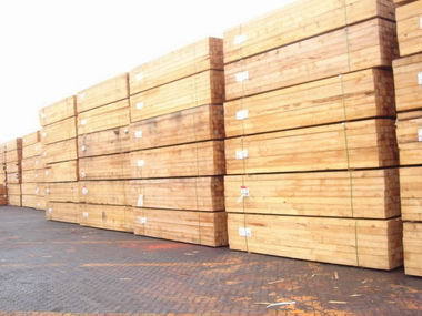 温州进口非洲木材贸易商需要哪些资质