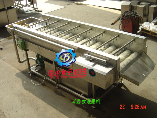 DY-250毛刷式洗果机