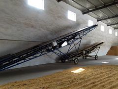小麦求购价格——河南物美**的小麦生产基地