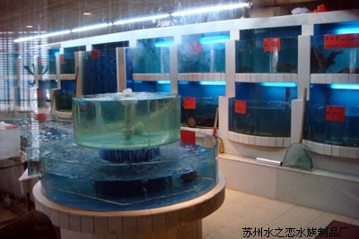 生态鱼缸供应商_供应苏州报价合理的鱼缸