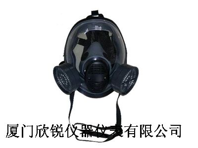 BW-5000球形双滤盒全面罩防毒面具