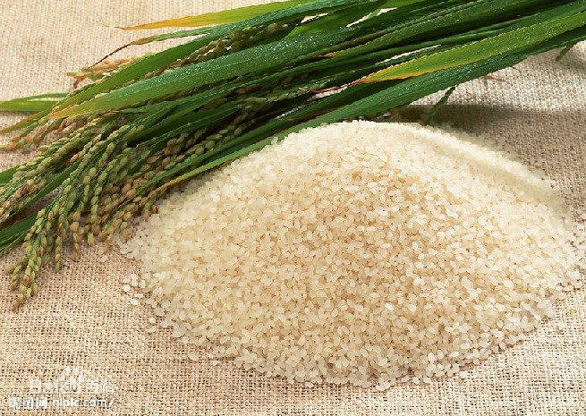 荆门优质大米有——较优惠的大米，荆门市正立米业供应